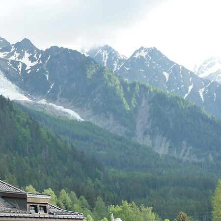 Chamois De Chamonix, Confortable 2 Pieces, Balcon, Parking Gratuit Luaran gambar