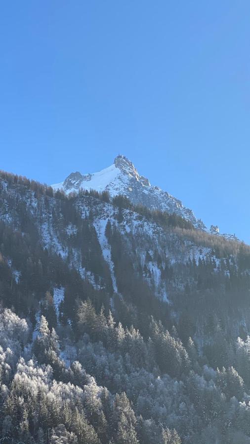 Chamois De Chamonix, Confortable 2 Pieces, Balcon, Parking Gratuit Luaran gambar